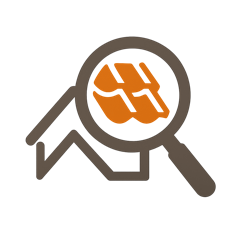 Diagnostic standard